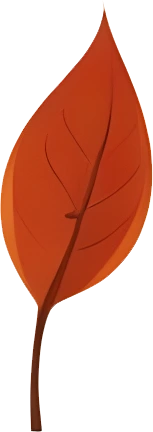 rendy Foliage Design, Leaf PNG Download, Tropical different type exotic leaves set_14.webp